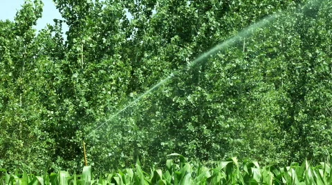 Agriculture Stock Footage