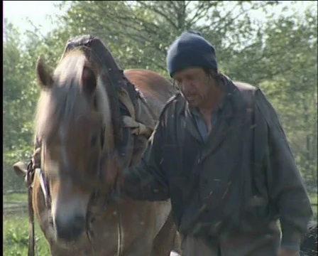 Agriculture Stock Footage 573360