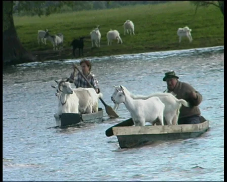 Agriculture Video stock 573553