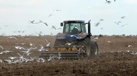 Agriculture Stock Footage