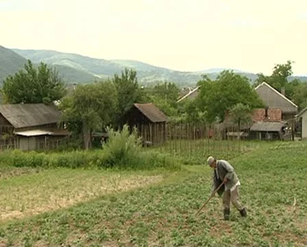 Agriculture Stock Footage 8960171