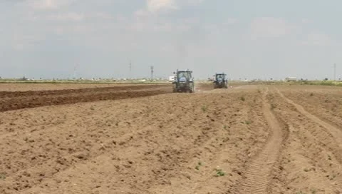 Agriculture Stock Footage