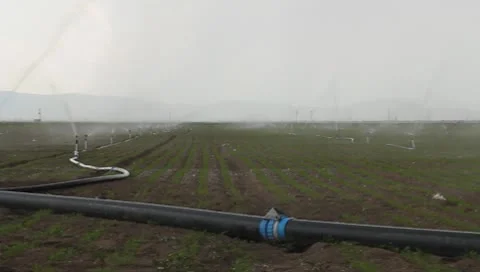 Agriculture Stock Footage 10679902