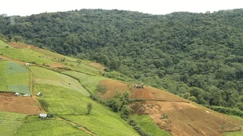 Agriculture Stock Footage 11499573