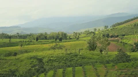 Agriculture Stock Footage 12191046