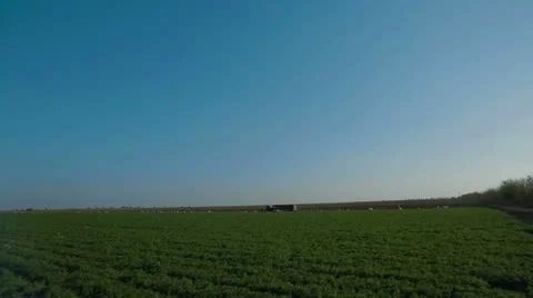 Agriculture Video stock 22304862