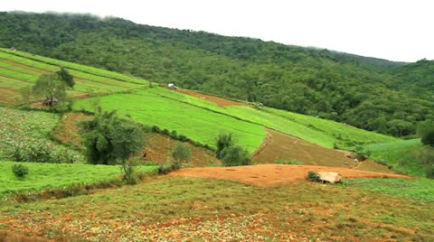 Agriculture Video stock 22956930