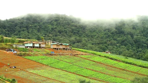 Agriculture Vídeos de archivo 22957163