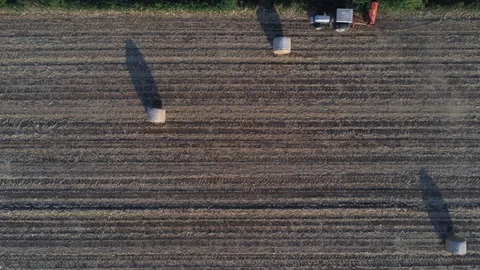 Agriculture 스톡 동영상 115318061