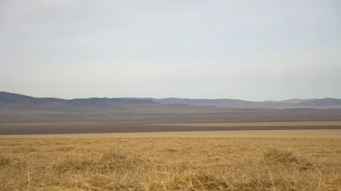 Agriculture, Stock Footage 119114772