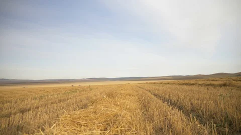 Agriculture, Stock Footage 119114808