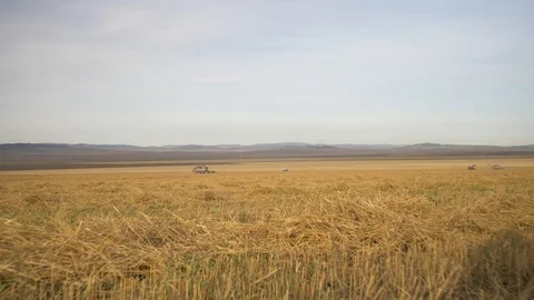 Agriculture, Stock Footage 119114865