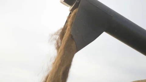 Agriculture, Stock Footage 119114875