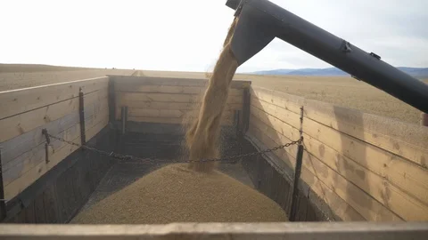 Agriculture, Stock Footage 119114975