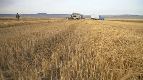 Agriculture, Stock Footage 119114992
