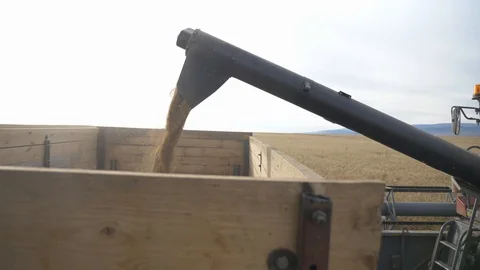Agriculture, Stock Footage 119115003
