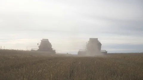 Agriculture, Stock Footage 119115004