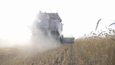 Agriculture, Stock Footage 119115040