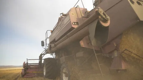 Agriculture, Stock Footage 119115052