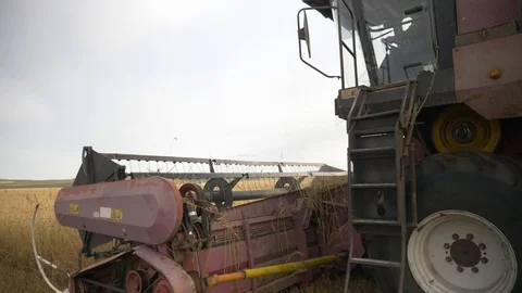 Agriculture, Stock Footage 119115089