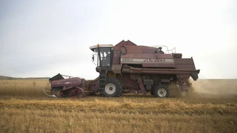 Agriculture, Stock Footage 119115113