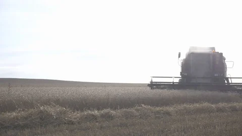 Agriculture, Stock Footage 119115167