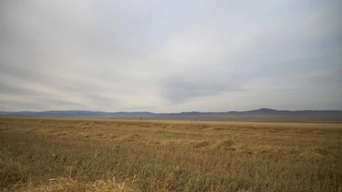 Agriculture, Stock Footage 119115183