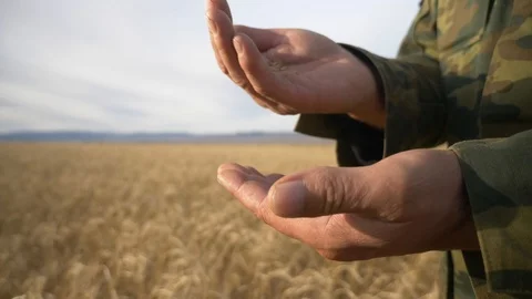 Agriculture, Stock Footage 119115188