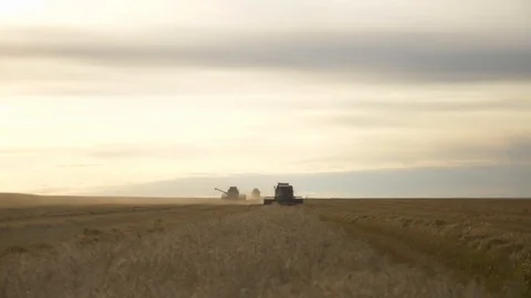 Agriculture, Stock Footage 119115258