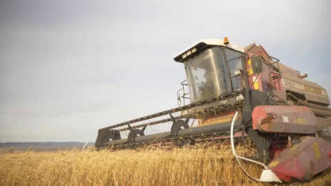 Agriculture, Stock Footage 119115279