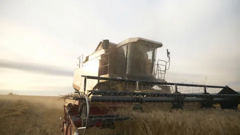 Agriculture, Stock Footage 119115299