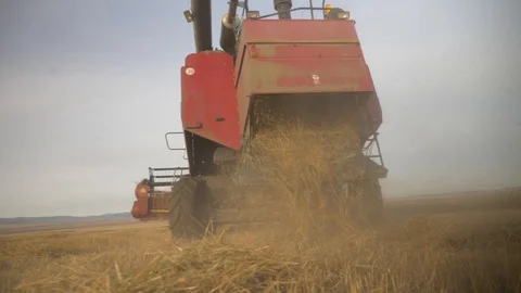 Agriculture, Stock Footage 119115306