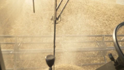 Agriculture, Stock Footage 119115581