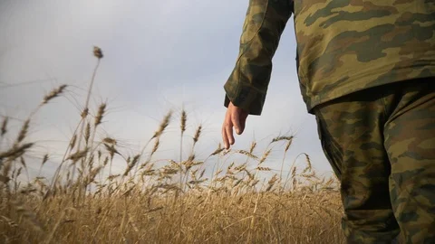 Agriculture, Stock Footage 119115659