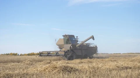 Agriculture, Stock Footage 119115749