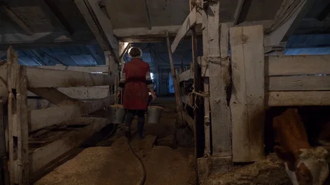 Agriculture, Stock Footage 119115881