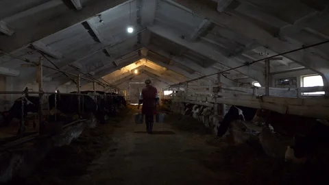 Agriculture, Stock Footage 119116029