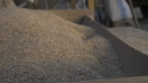 Agriculture, Stock Footage 119116074