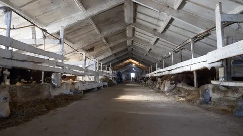 Agriculture, Stock Footage 119116079