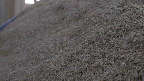 Agriculture, Stock Footage 119116161