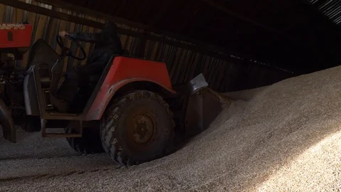 Agriculture, Stock Footage 119116186