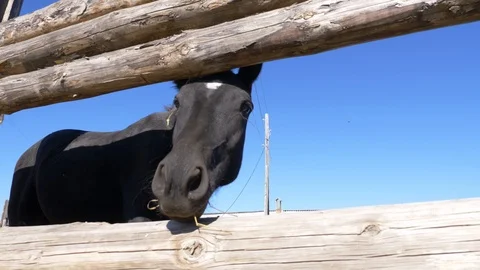 Agriculture, Stock Footage 119116241