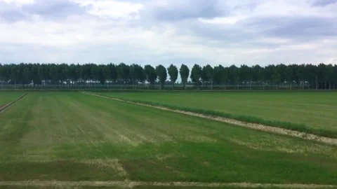 Agriculture Stock Footage 155500644