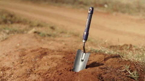 Agriculture Stock Footage 156968134