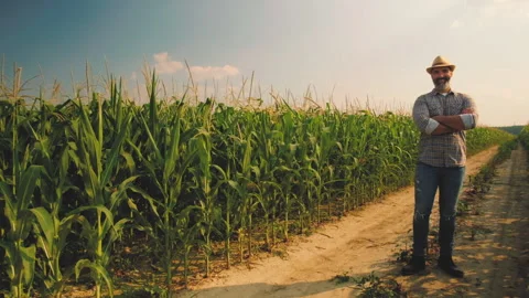 Agriculture Stock Footage 157830575