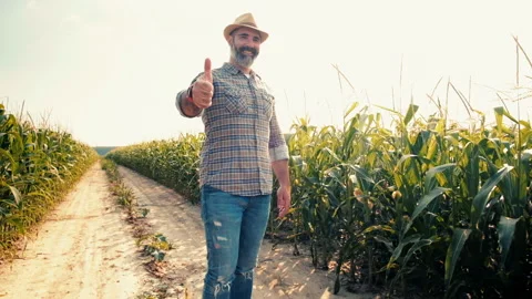 Agriculture Stock Footage 157830645