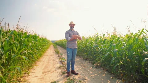 Agriculture Stock Footage 157830669