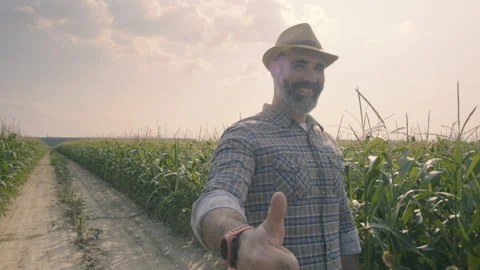 Agriculture Stock Footage 157830698