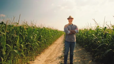 Agriculture Stock Footage 157830819