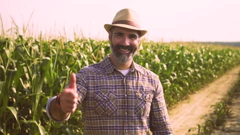 Agriculture Stock Footage 157831166